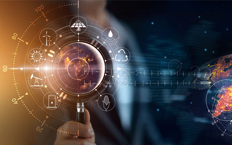 Supplier verification and risk management in procurement