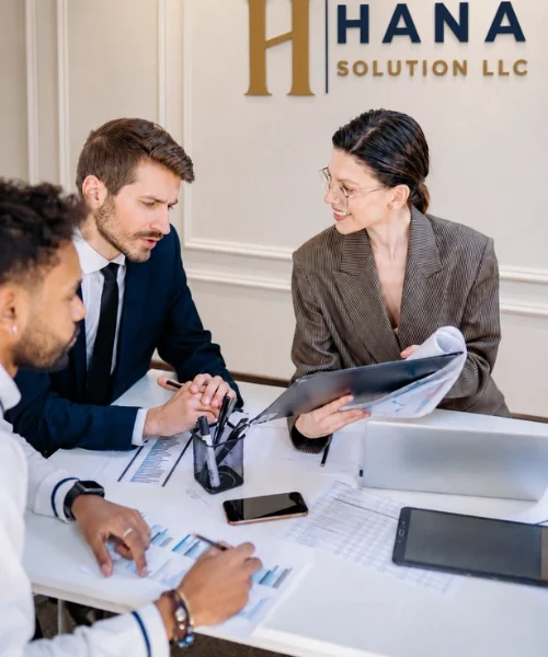 Turkey Procurement Consultant team reviewing supplier data and procurement documents at Hana Solution LLC.